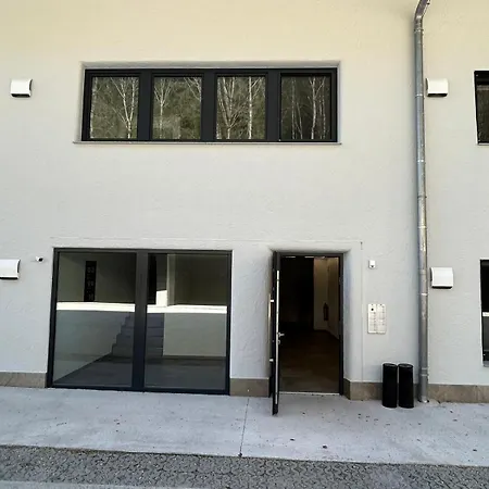Apartment Danner Wolfsegg am Hausruck