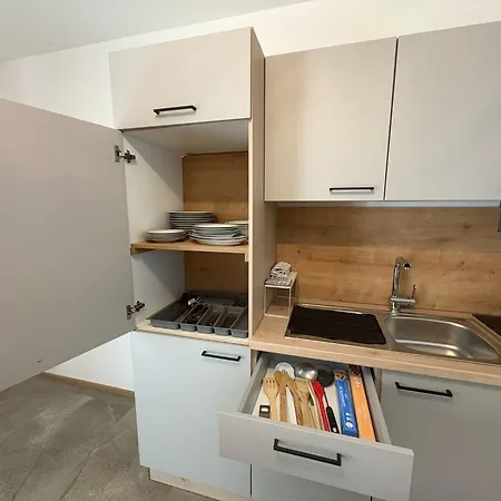 Danner Apartment Wolfsegg am Hausruck